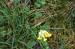 DSC05381.jpg