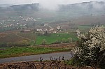 DSC05384.jpg
