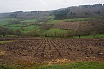 DSC05385.jpg