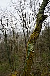 DSC05387.jpg