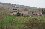 DSC05390.jpg