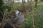 DSC05397.jpg