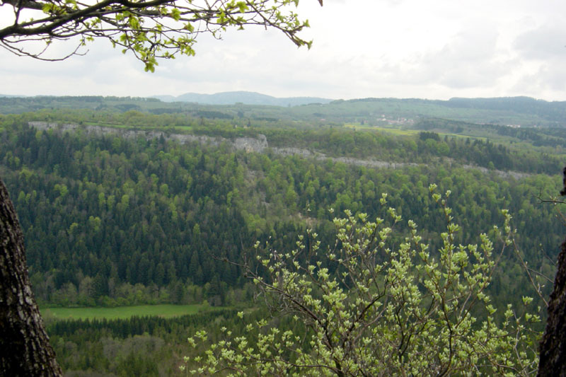 DSC06960