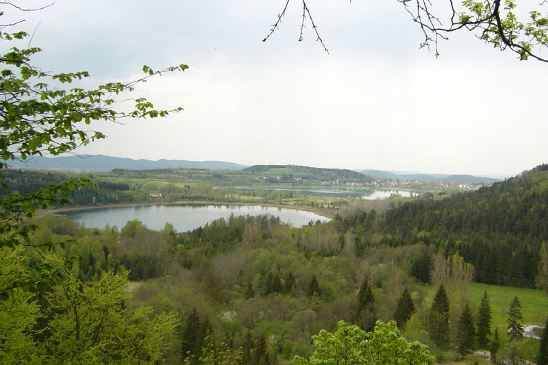 DSC06974
