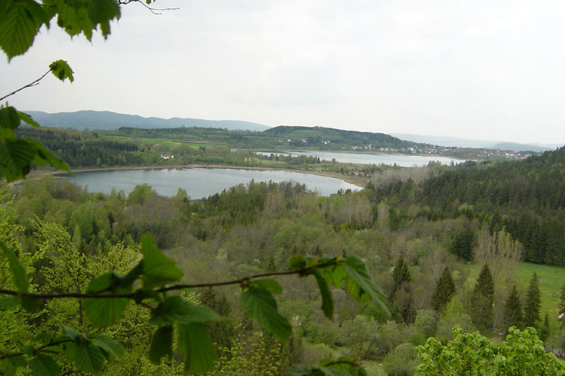 DSC06979