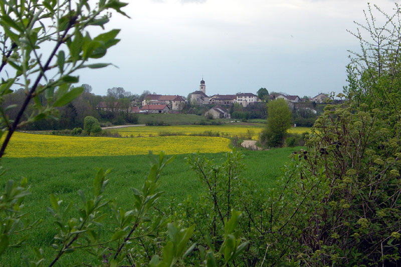 DSC06981