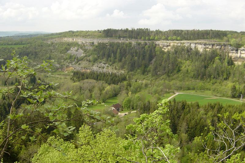 DSC07006
