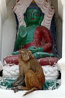 a7 Swayambhunath.jpg