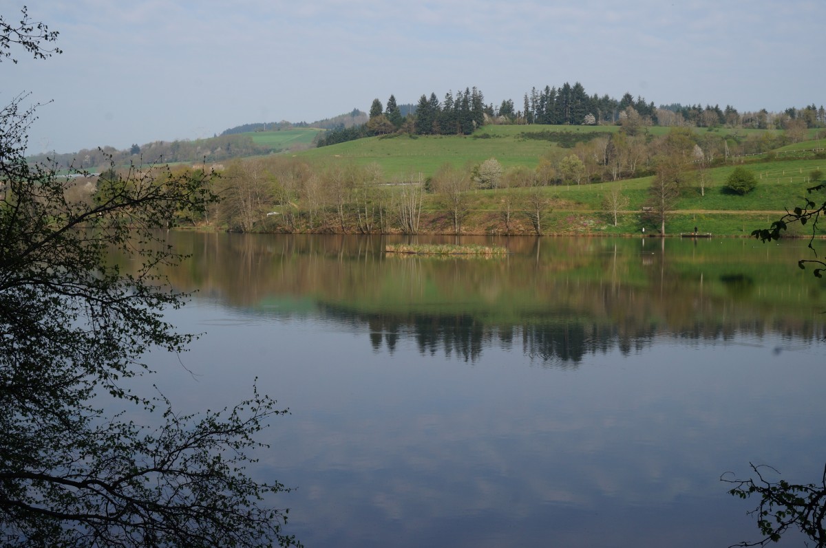 DSC06478.jpg