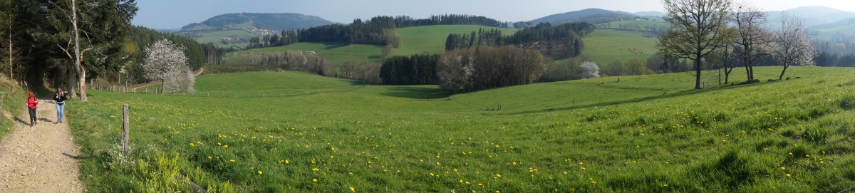 DSC06483.jpg