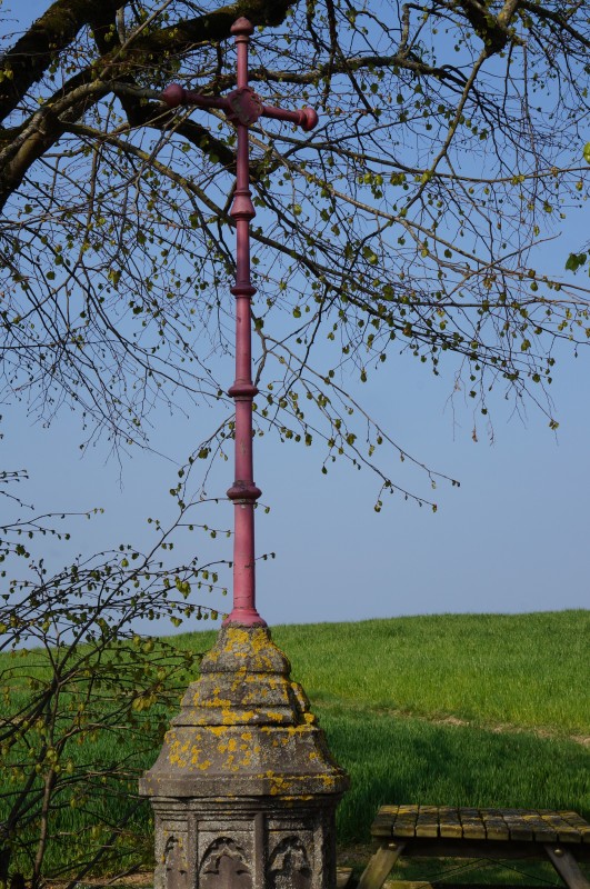 DSC06486.jpg