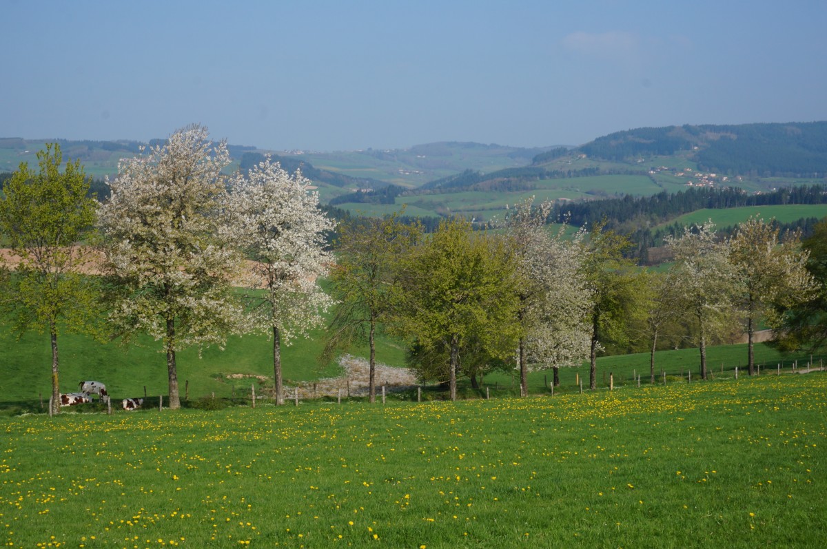DSC06488.jpg