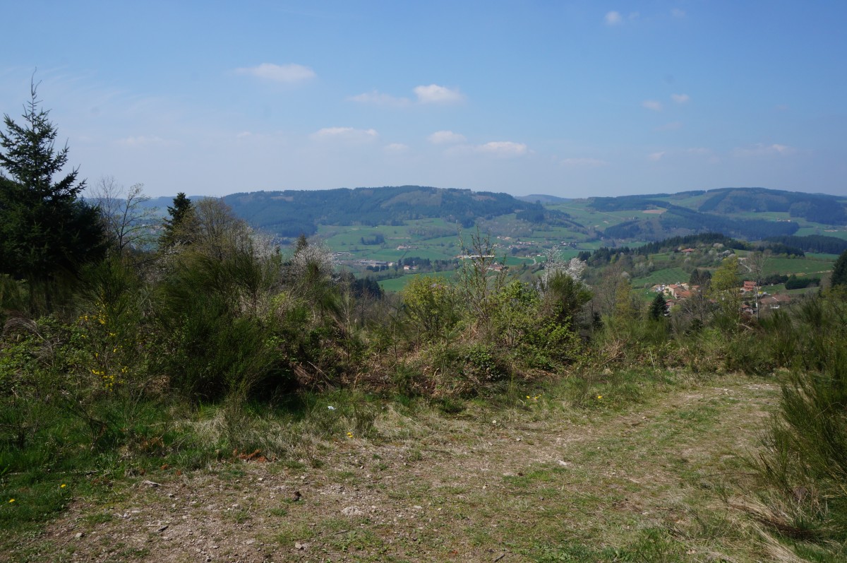 DSC06496.jpg
