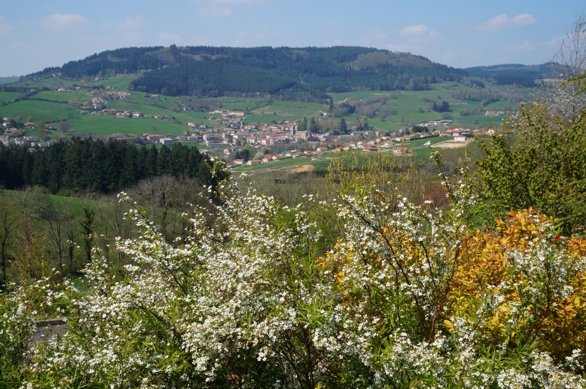 DSC06505.jpg