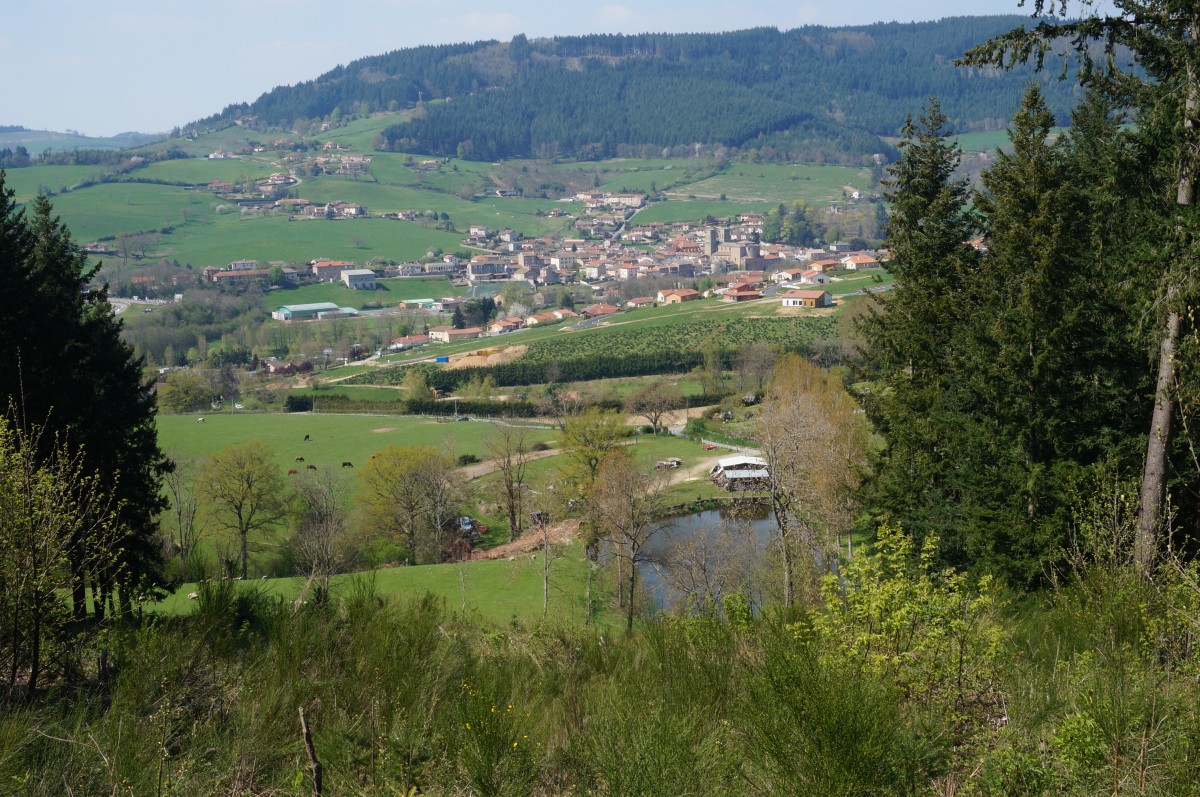 DSC06507.jpg