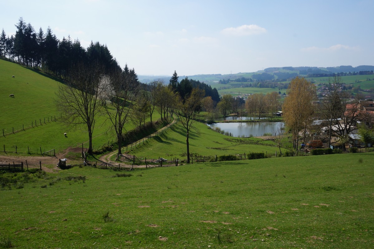 DSC06510.jpg