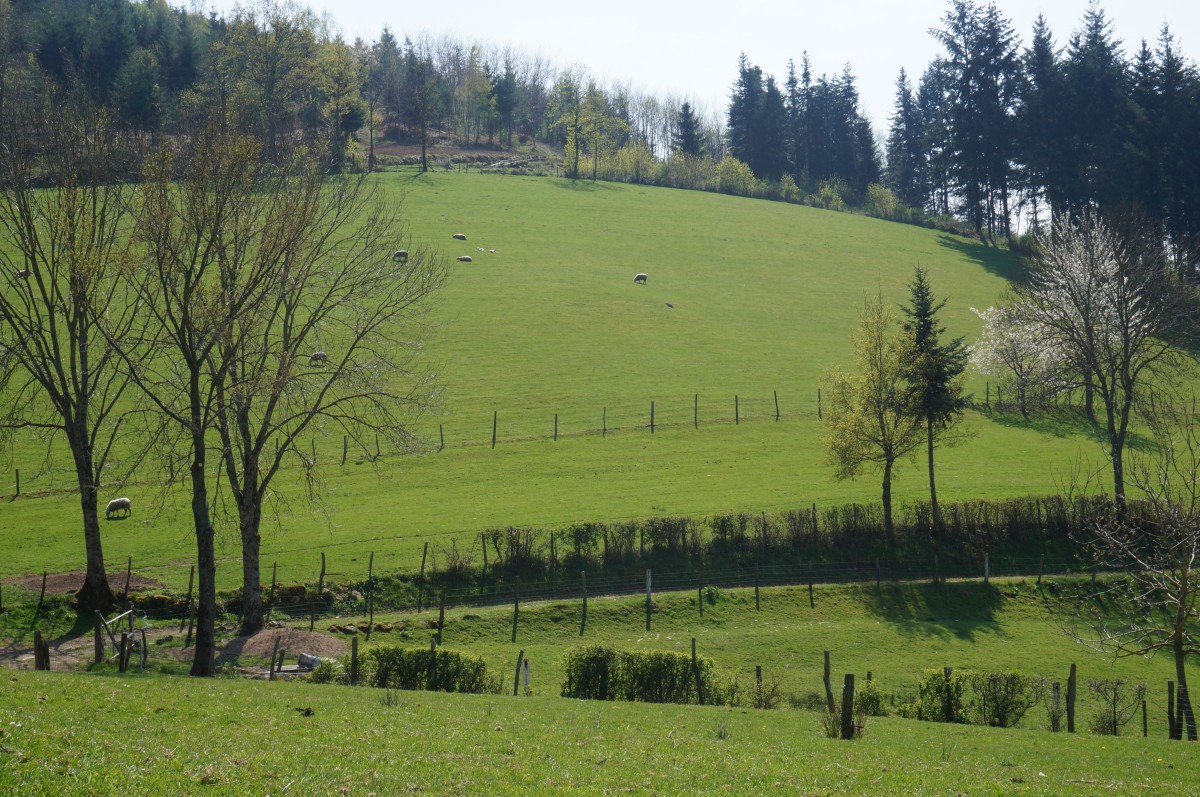 DSC06512.jpg
