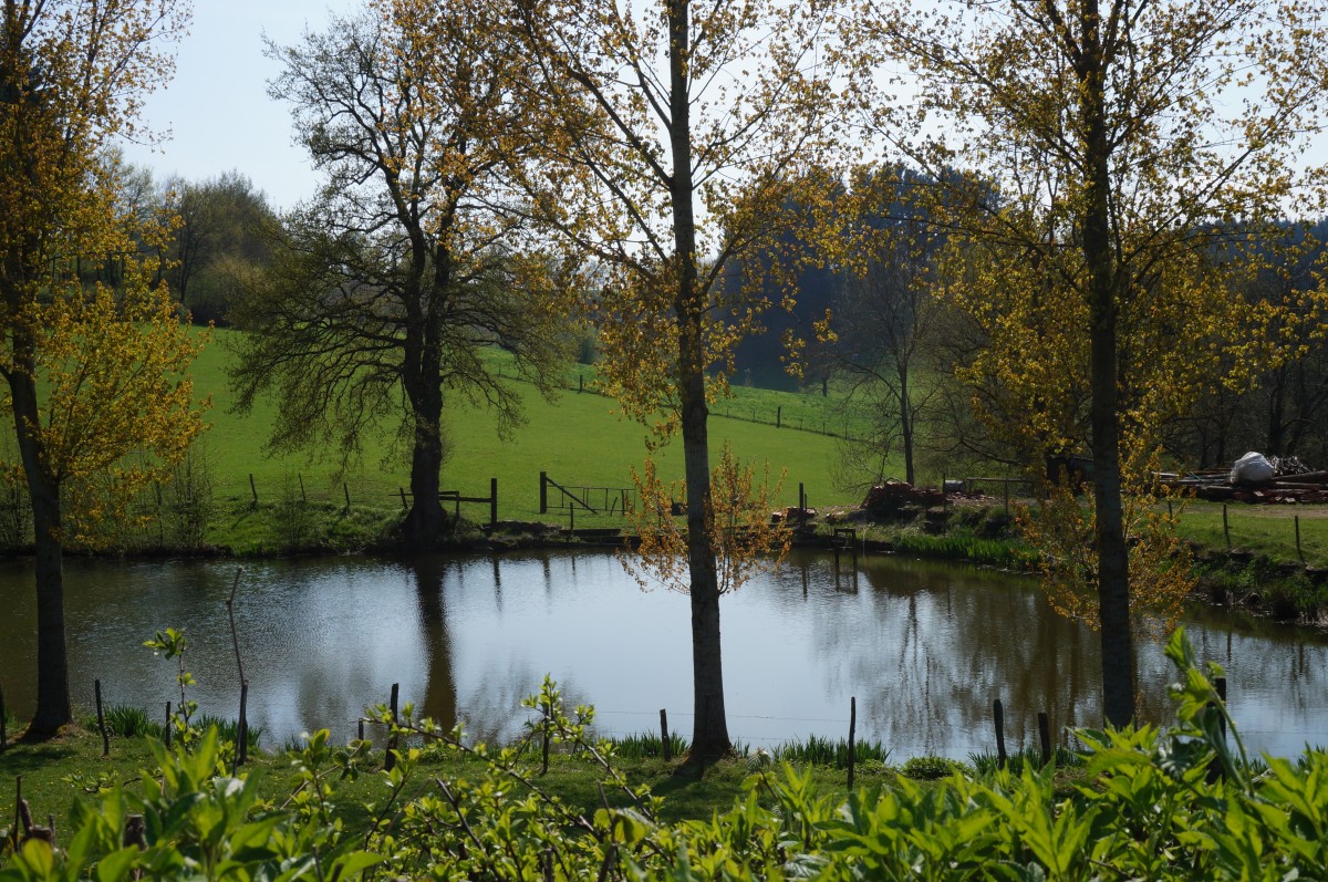 DSC06514.jpg