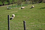 DSC06509.jpg DSC06509.jpg