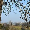 P1090977.jpg
