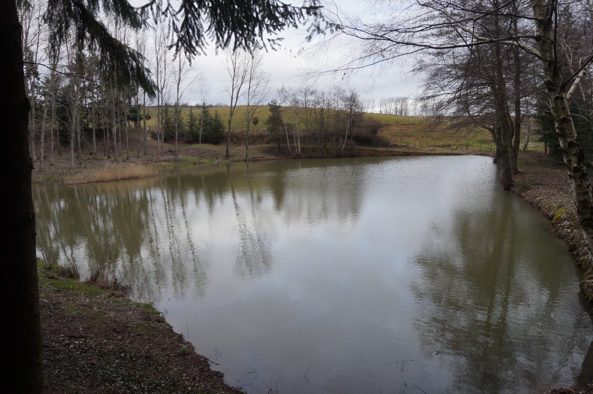DSC00424.jpg