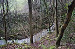 DSC00413.jpg