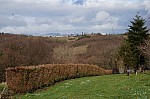 DSC00419.jpg