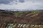 DSC00422.jpg