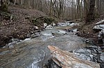 DSC00427.jpg