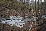 DSC00428.jpg