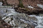 DSC00429.jpg
