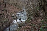 DSC00431.jpg