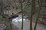 DSC00432.jpg