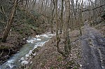 DSC00433.jpg