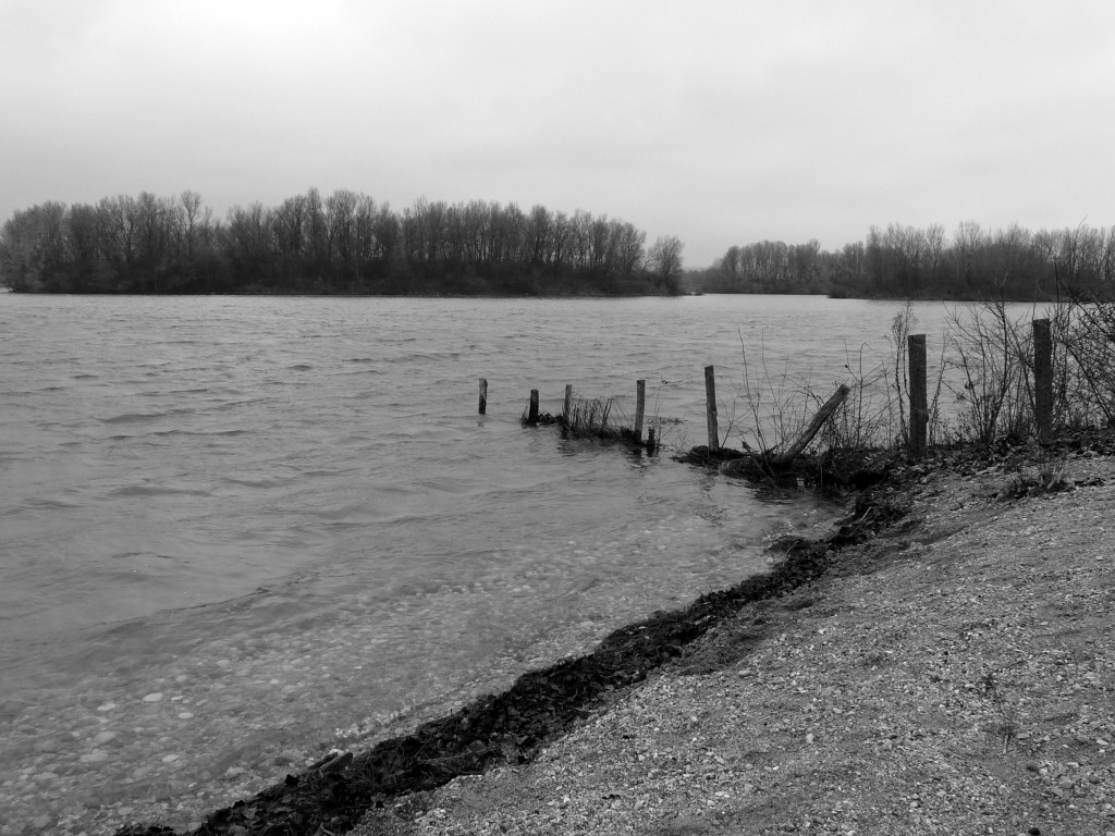 P1080864.jpg