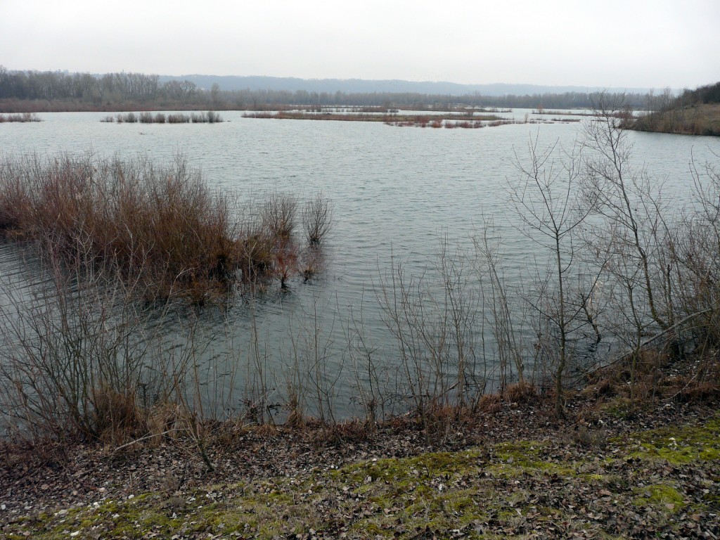 P1080866.jpg