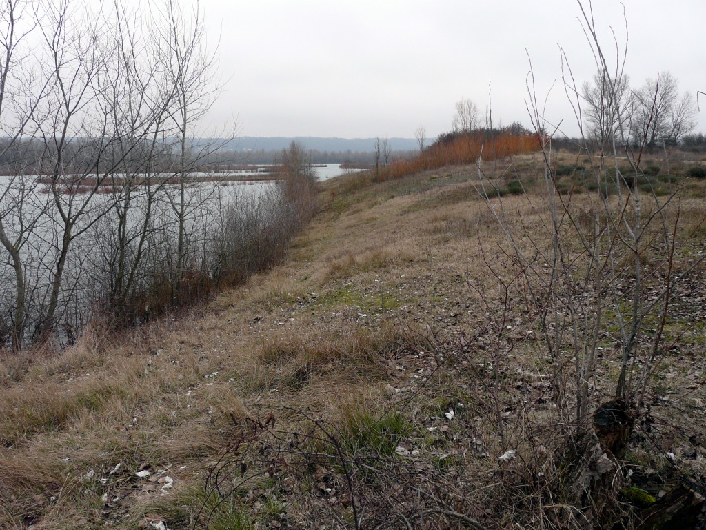 P1080867.jpg