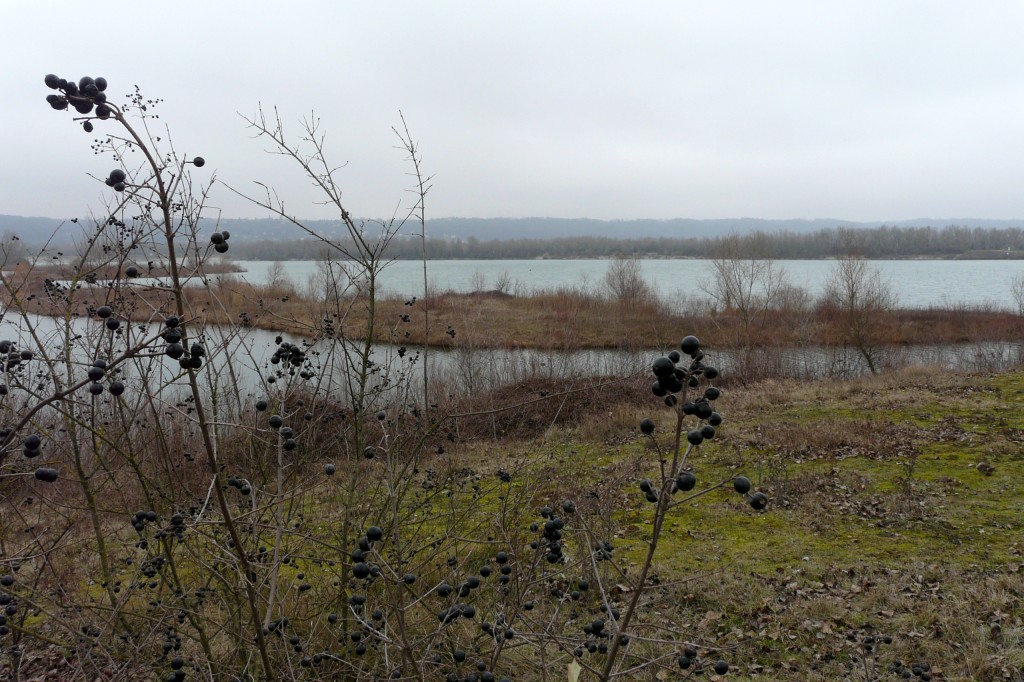 P1080876.jpg