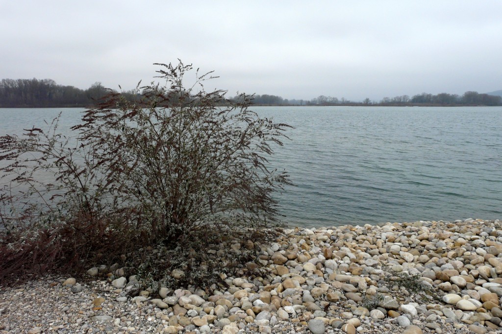 P1080877.jpg