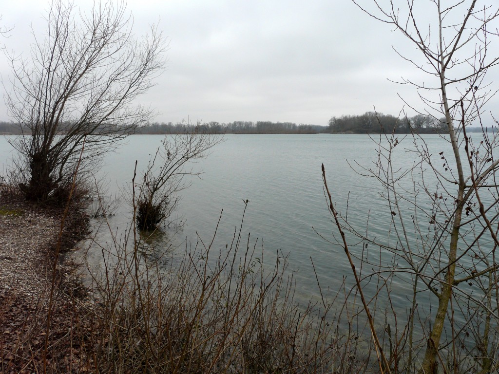 P1080885.jpg