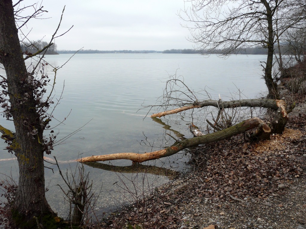 P1080887.jpg