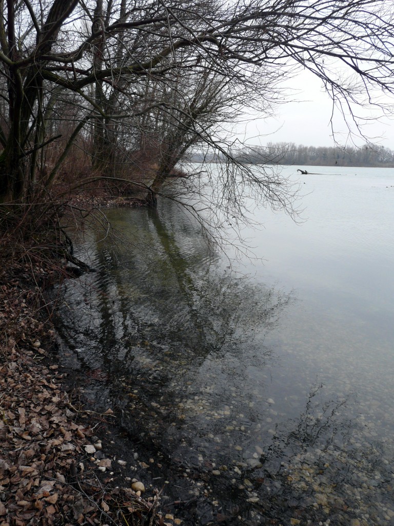 P1080892.jpg