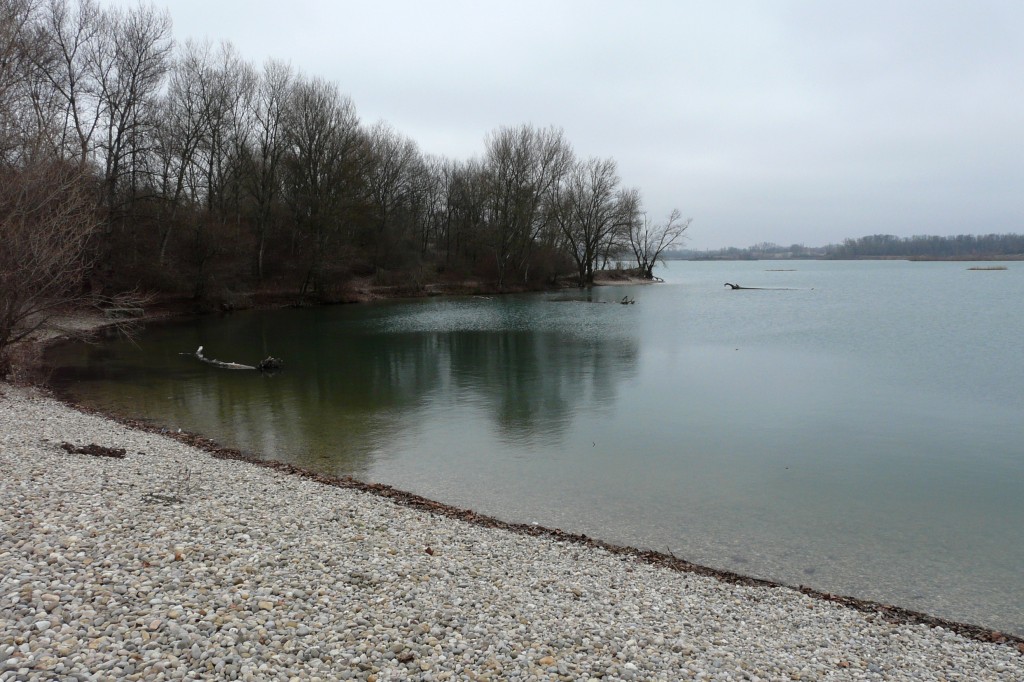 P1080893.jpg