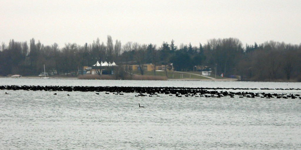 P1080894.jpg