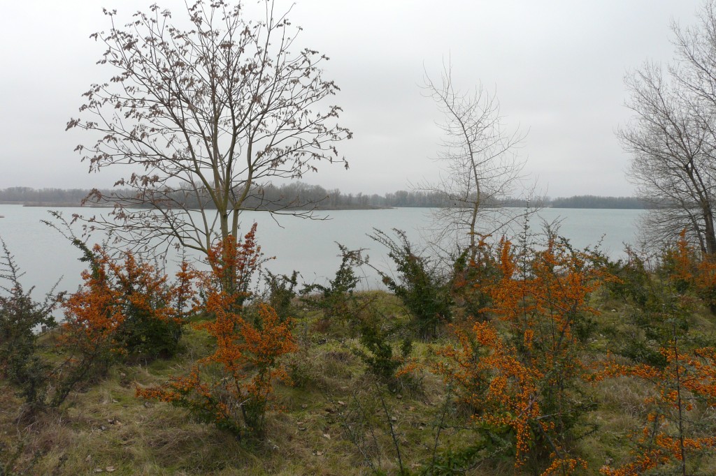 P1080899.jpg