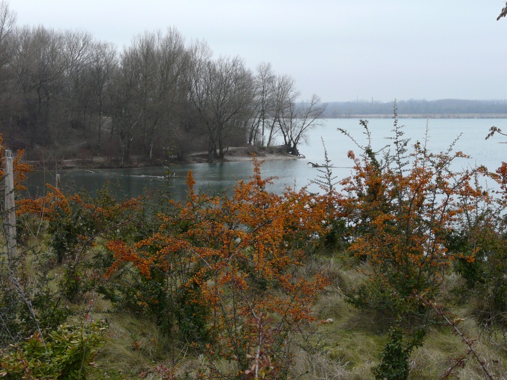 P1080900.jpg