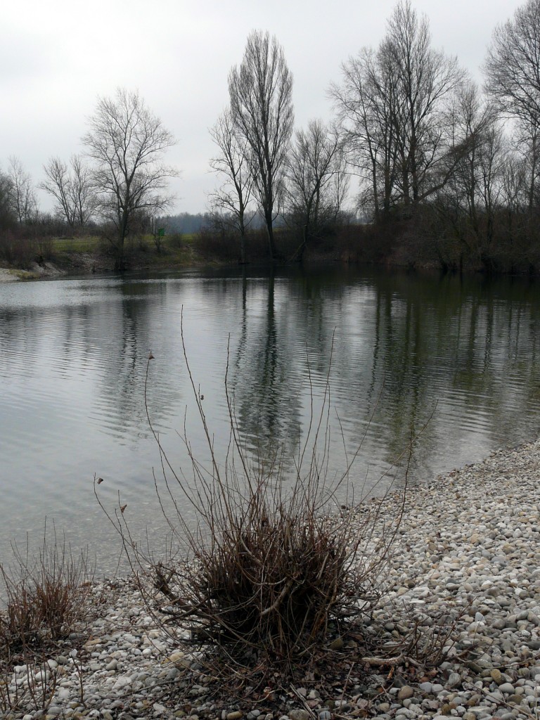 P1080911.jpg
