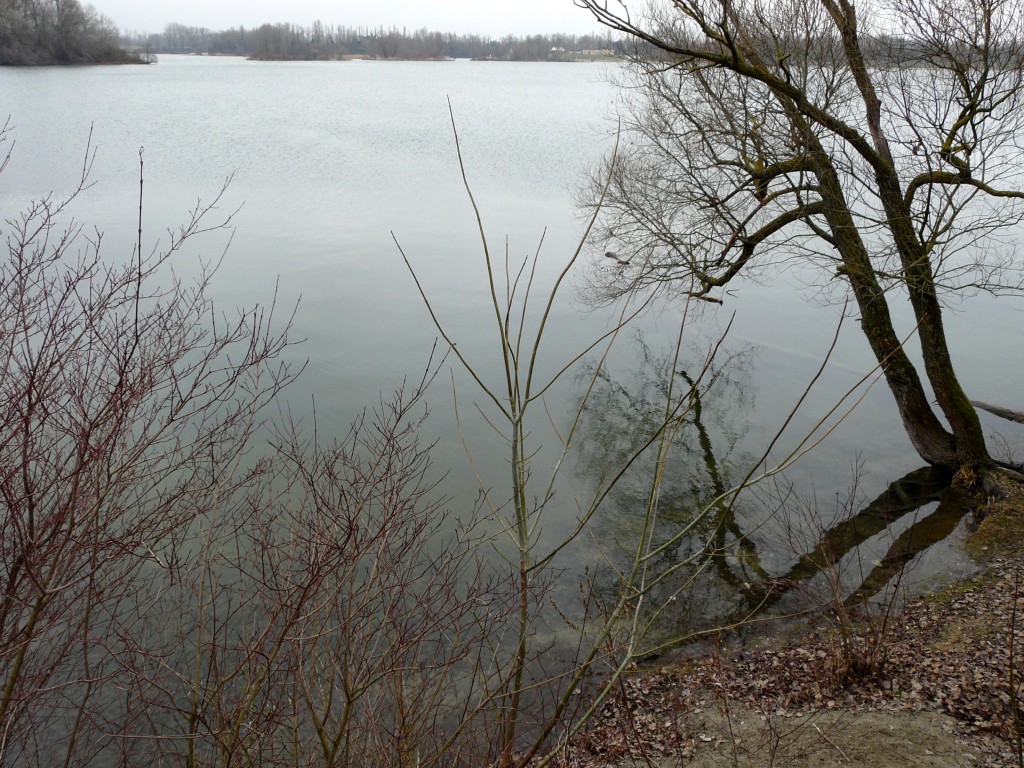 P1080913.jpg