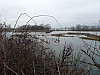 P1080868.jpg