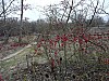 P1080872.jpg